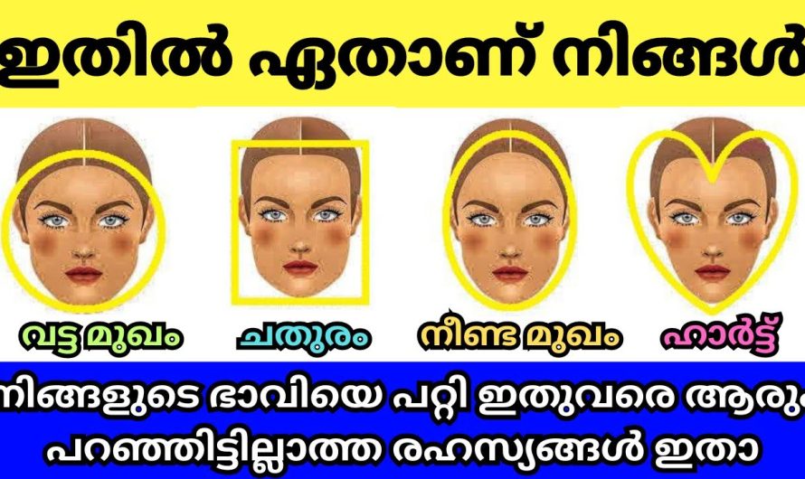 ഇതുവരെ നിങ്ങളോട് ആരും ഇത് പറഞ്ഞില്ലേ