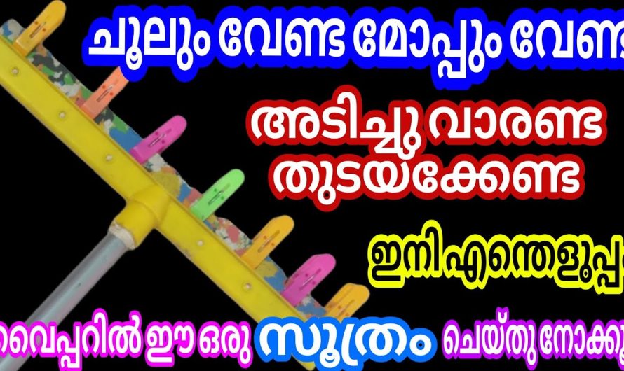 വീട് മൊത്തം ഇനി ഇതുപോലൊന്ന് ചെയ്താലോ