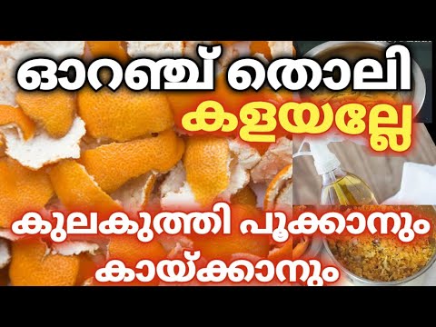 ഓറഞ്ച് മാത്രമല്ല ഇതിന്റെ തൊലി കൊണ്ടും കാര്യമുണ്ട്