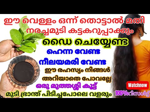 ഇനി മുടി കറുപ്പിക്കാൻ ഒരുപാട് ഒന്നും കഷ്ടപ്പെടേണ്ട