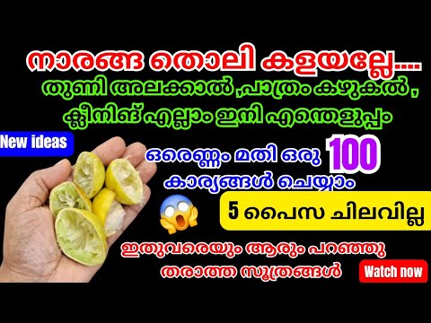 ഇനി എന്തിനും ഏതിനും ഇതുതന്നെ