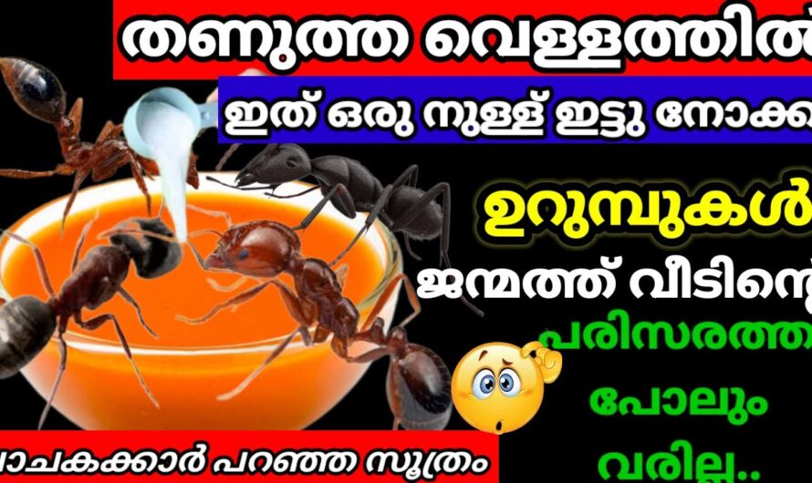 ഇനി ഉറുമ്പുകളും പ്രാണികളും മഷി ഇട്ടാൽ കാണില്ല