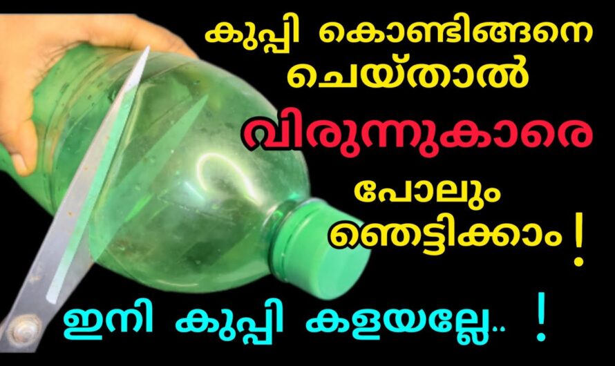 ഇത് കണ്ടാൽ കാണുന്നവർ ഒക്കെ ഞെട്ടും