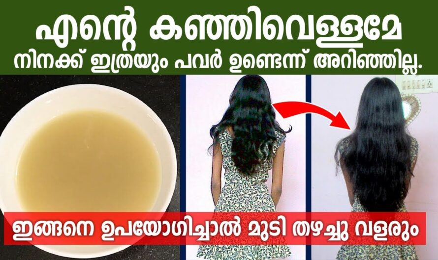 കളയണ്ട ഇതുകൊണ്ട് ഇനി കാര്യമുണ്ട്, ഇതറിഞ്ഞാൽ ഇനി  ഒരിക്കലും കളയില്ല