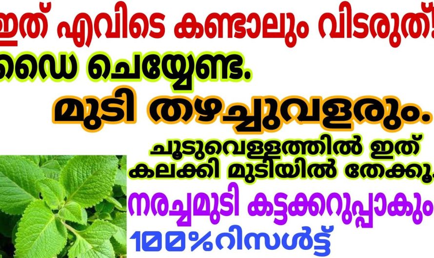 പോക്കറ്റിലെ പൈസ കളയാതെ  കറുത്ത നീളമുള്ള മുടി നിങ്ങൾക്കും സ്വന്തമാക്കാം