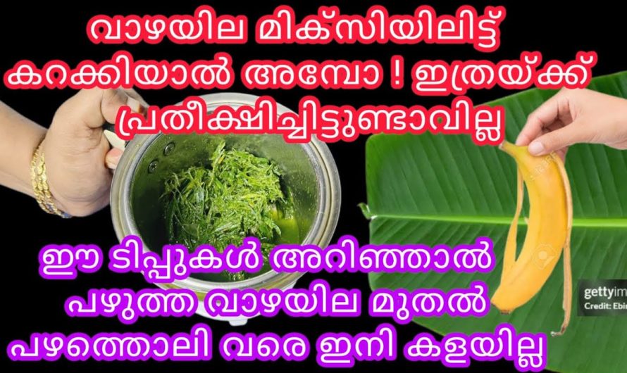 വാഴയുടെ ഒരു ഭാഗവും ഇനി കളയേണ്ടതില്ല