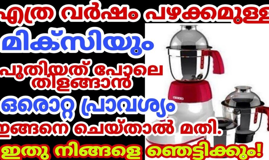 എത്ര പഴക്കം ഉണ്ടെങ്കിലും ഇനി മിക്സി എപ്പോഴും പുത്തൻ ആയിരിക്കാൻ