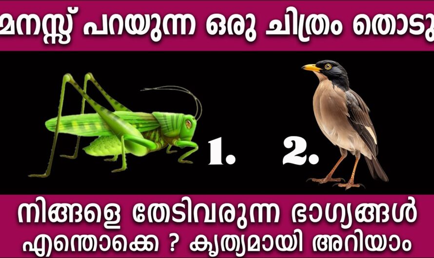 ഒന്നു തൊട്ടു നോക്കൂ നിങ്ങളുടെ ഭാവി അറിയാം