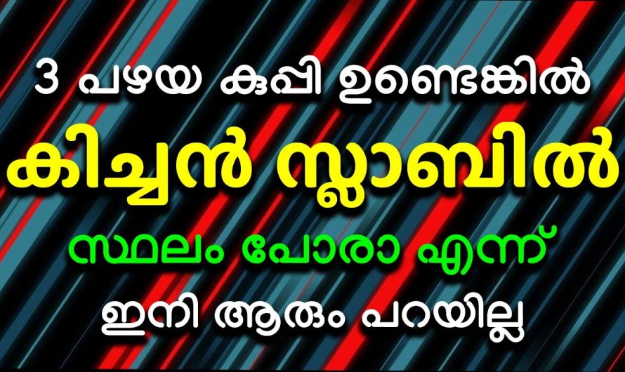 ഒരു ആണി പോലും വേണ്ട നിങ്ങൾക്ക് ഇനി അടുക്കള ഭംഗിയാക്കാം