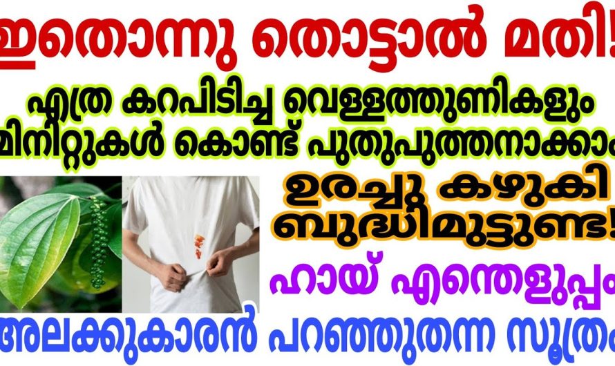 ഇനി പാത്രത്തിൽ ആണെങ്കിലും വസ്ത്രത്തിലാണെങ്കി ലും കറ എളുപ്പമാണ്