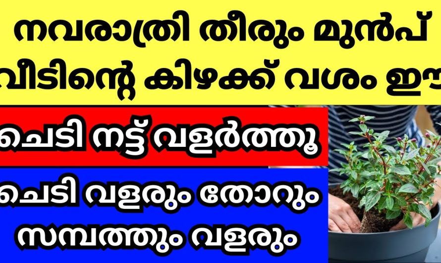 ഈ നവരാത്രി കാലം നിങ്ങളുടെ ജീവിതത്തിലെ ഉയർച്ചയുടെ നാളുകൾ ആവണോ