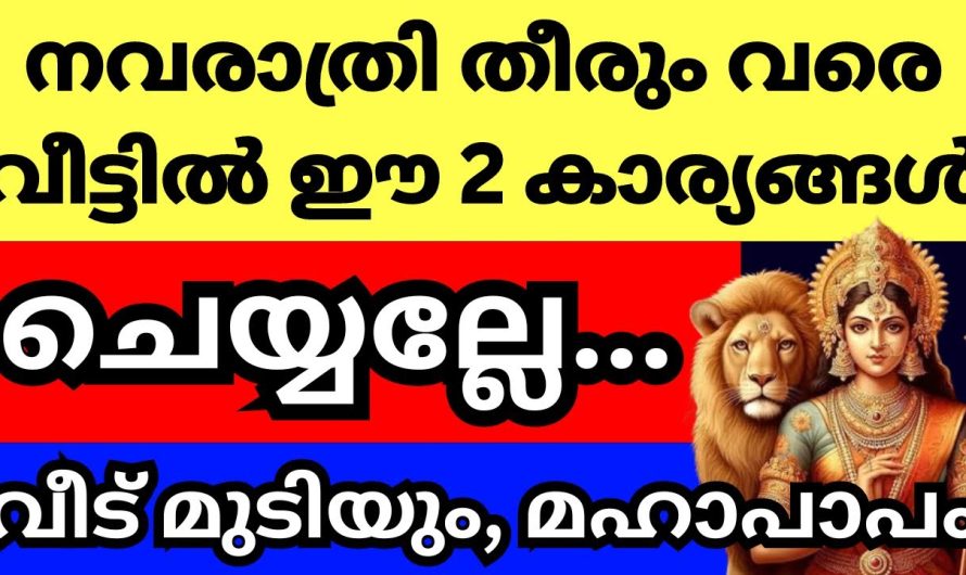 നവരാത്രി ദിവസങ്ങൾ ഒരിക്കലും ഈ തെറ്റ് ചെയ്യരുത്