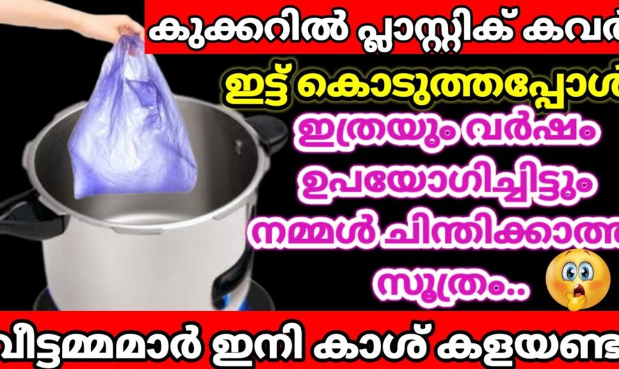 പ്ലാസ്റ്റിക് കവർ കുക്കറിനകത്തിട്ടാൽ സംഭവിക്കുന്നത്