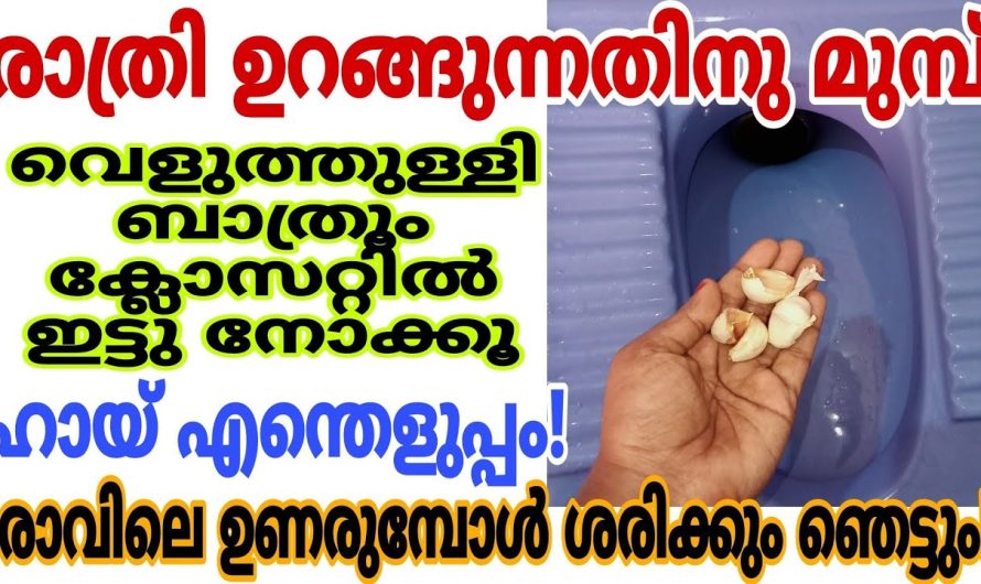 നുറുങ്ങു വിദ്യകളിലൂടെ നിങ്ങളുടെ വീട്ടു പണികൾ എളുപ്പമാക്കാം