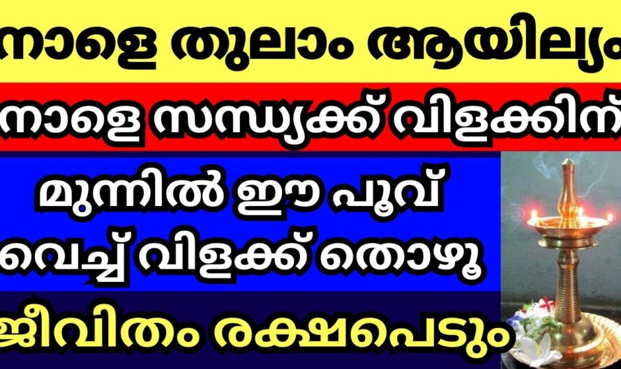 എന്തൊക്കെ മറന്നാലും നാളെ ഇത് ചെയ്യാൻ മറക്കല്ലേ