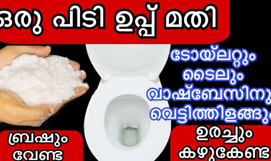 ഒരു പിടി ഉപ്പുണ്ടെങ്കിൽ ഇനി എല്ലാം എളുപ്പമാണ്