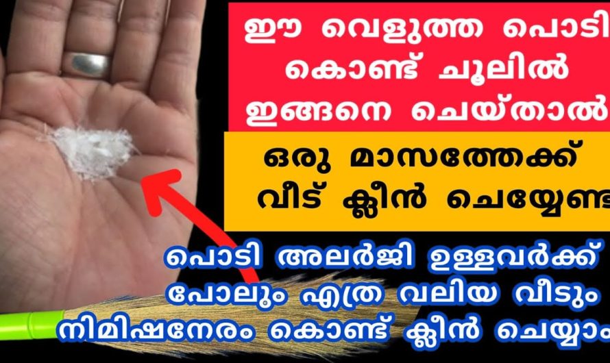 ഇനി അടിച്ചു വരുമ്പോൾ ചൂല് ഇങ്ങനെ ഒന്ന് ആക്കി നോക്കൂ