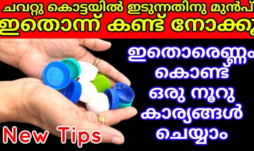 കുപ്പിയുടെ അടപ്പുകൾ ഇനി വെറുതെ കളയേണ്ട, ഇതറിഞ്ഞാൽ ആരും ഞെട്ടിപ്പോകും