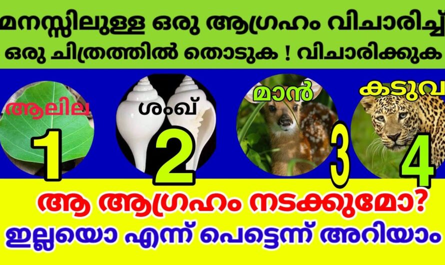 ഒരു ആഗ്രഹം മനസ്സിൽ വിചാരിച്ച് ഈ നാല് ചിത്രങ്ങളിൽ ഒന്ന് തൊടൂ, നടക്കുമോ ഇല്ലയോ എന്ന് അറിയാം…