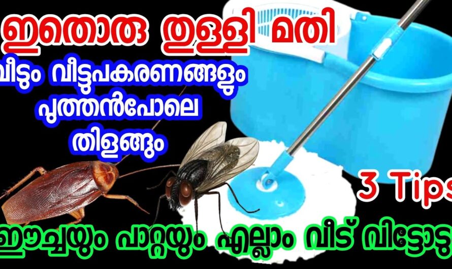 ഫ്ലോർ കണ്ണാടി പോലെ തിളങ്ങുവാൻ ഒരു കിടിലൻ സൊല്യൂഷൻ തയ്യാറാക്കാം