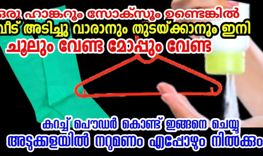 വീട് ക്ലീൻ ചെയ്യാൻ ഒരു കിടിലൻ സൊല്യൂഷൻ വീട്ടിൽ തയ്യാറാക്കാം! 100% റിസൾട്ട്…