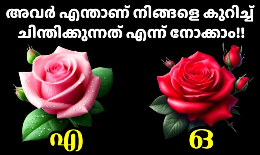 ഒരു വ്യക്തിയെ മനസ്സിൽ വിചാരിച്ച് ഇതിലൊന്ന് തിരഞ്ഞെടുക്കു, അവരുടെ മനസ്സറിയാം…