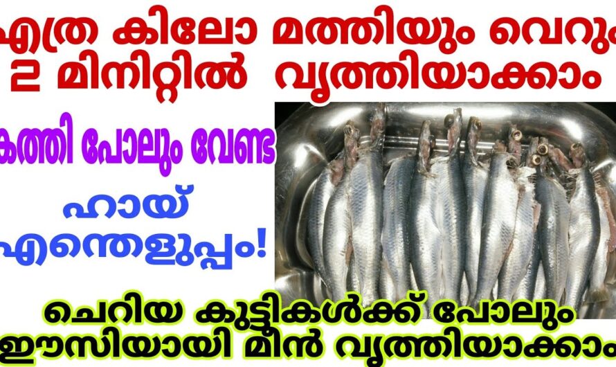 എത്ര കിലോ മത്തിയും കത്തി പോലുമില്ലാതെ ക്ലീൻ ചെയ്യാം, ഒരു അടിപൊളി ട്രിക്ക്…