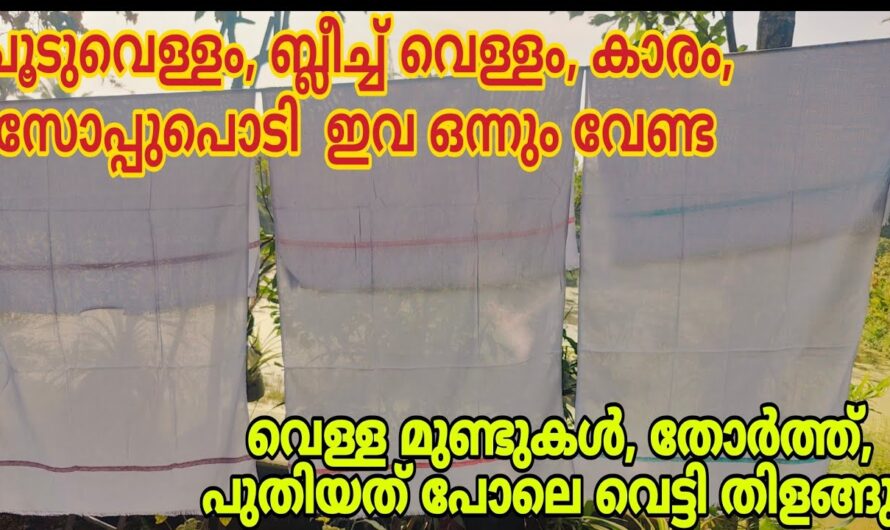 ഒരു രൂപ പോലും ചിലവില്ലാതെ വീട്ടിൽ തന്നെ റോസ് വാട്ടർ തയ്യാറാക്കാം