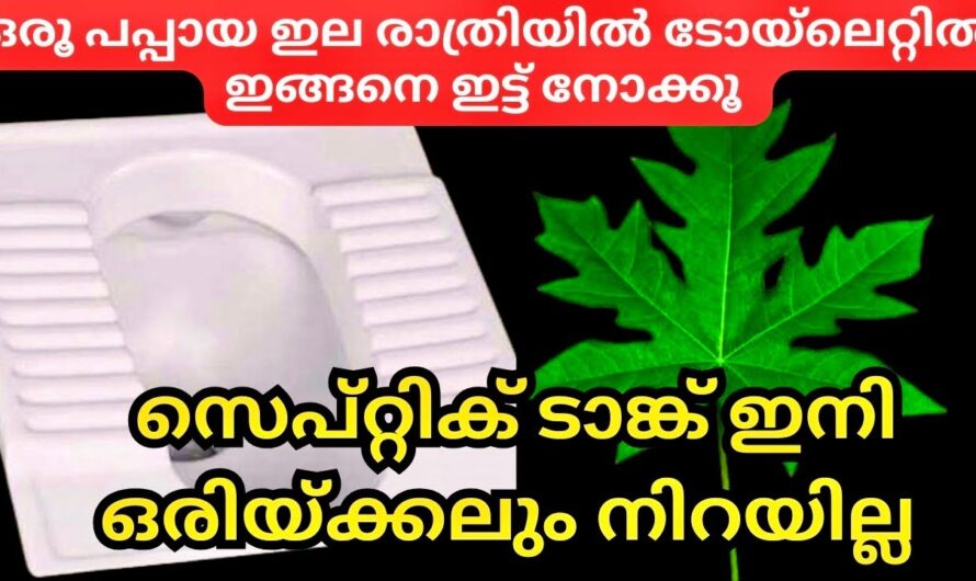 പപ്പായുടെ ഇല കൊണ്ട് ഒരു കിടിലൻ ക്ലീനിങ് സൊല്യൂഷൻ, ആരും ഞെട്ടിപ്പോകും റിസൾട്ട്…