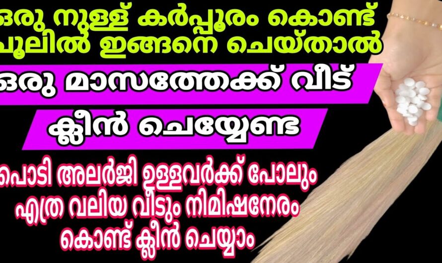 ഈ ടിപ്സ് അറിയാതെ പോയാൽ വലിയ നഷ്ടം, വീട് പുതുപുത്തൻ ആക്കാം…