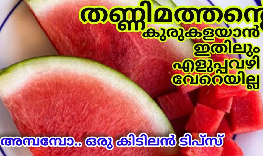 തണ്ണിമത്തൻ വാങ്ങിക്കുന്നവർ ഉറപ്പായും അറിഞ്ഞിരിക്കേണ്ട ചില കാര്യങ്ങൾ…