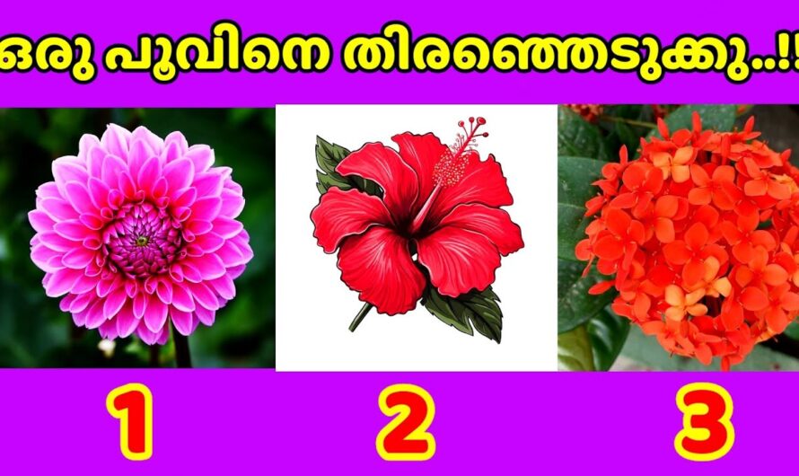 മൂന്നു പൂക്കളിൽ നിന്നും ഒന്ന് തിരഞ്ഞെടുക്കു, നിങ്ങളെപ്പറ്റി ഒരു രഹസ്യമുണ്ട്