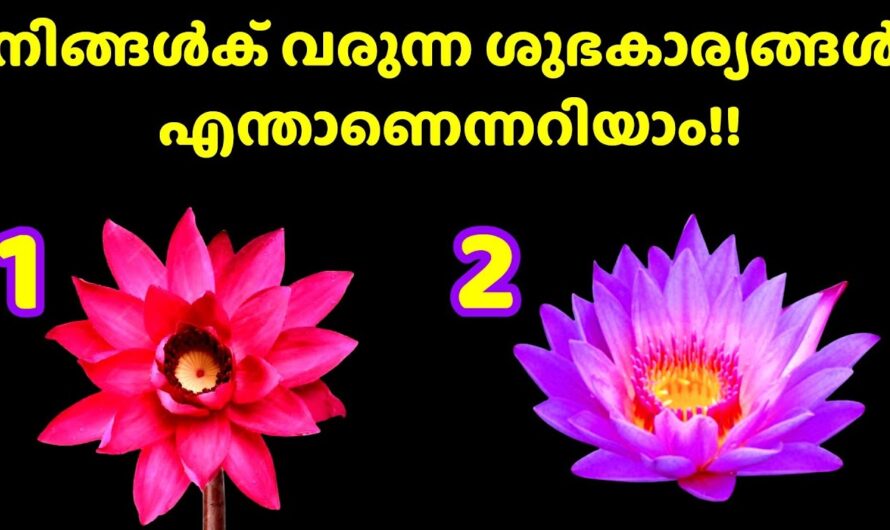 നിങ്ങളുടെ മനസ്സിലെ ആഗ്രഹം നടക്കുമോ ഇല്ലയോ എന്ന് ഇപ്പോൾ തന്നെ അറിയാം!