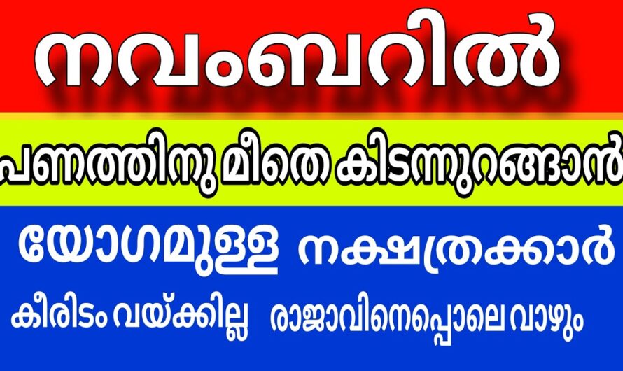 ഈ നക്ഷത്ര ജാതകർ ഇനി കിരീടം വെക്കാത്ത രാജാക്കന്മാർ, സൗഭാഗ്യത്തിന്റെ പെരുമഴ…