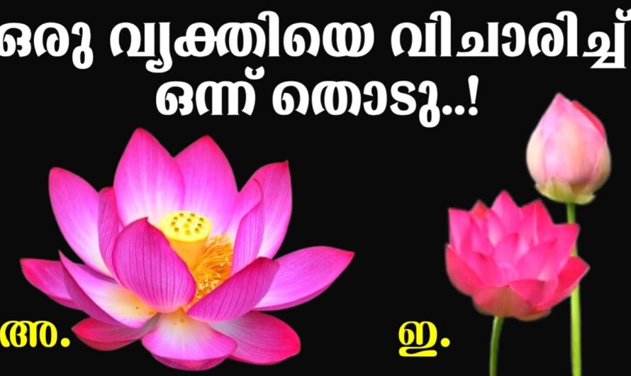 നിങ്ങൾക്ക് ഏറ്റവും പ്രിയപ്പെട്ട ആ വ്യക്തി മനസ്സിൽ എന്തു ചിന്തിക്കുന്നു എന്ന് അറിയാം….