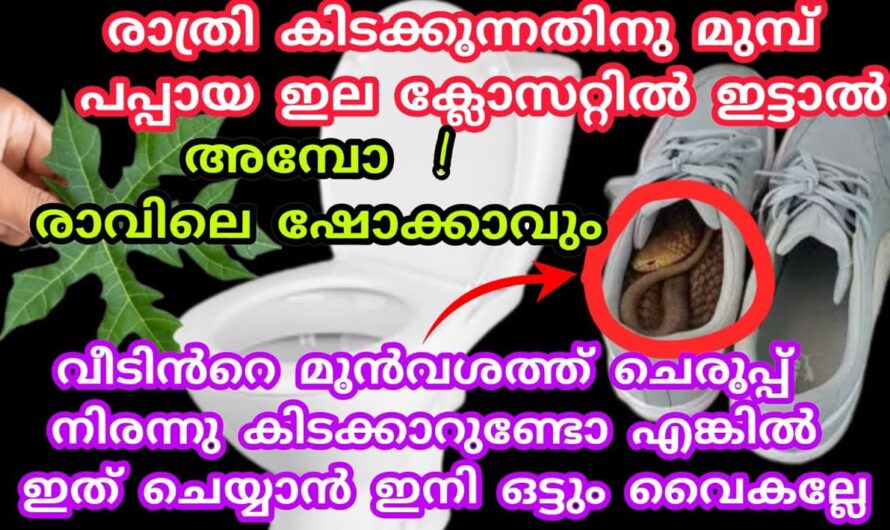 ബാത്റൂമിലെ കറ കളയുവാൻ ഒരു കിടിലൻ ലിക്വിഡ്, ഒരു പ്രാവശ്യം ഉപയോഗിച്ചാൽ മതി👌