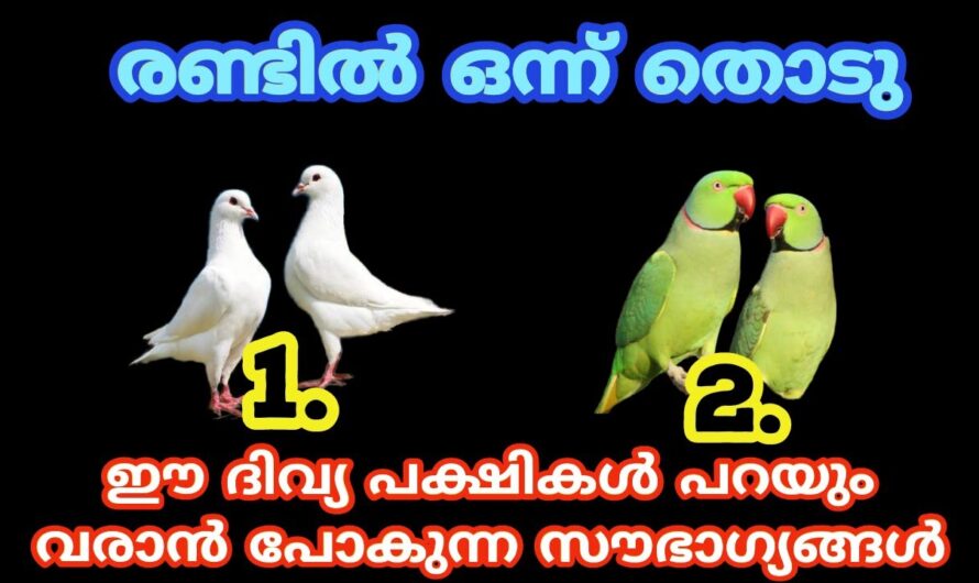 ഇതിൽ നിങ്ങളെ പറ്റി ഒരു രഹസ്യമുണ്ട്, 🤫രണ്ടിൽ നിന്നും ഒരെണ്ണം തിരഞ്ഞെടുക്കൂ…