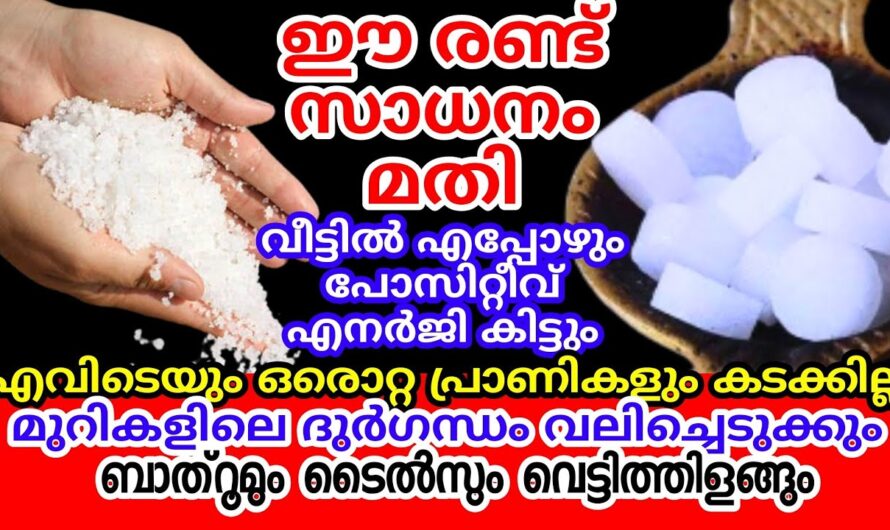 ആരും പറഞ്ഞു തരാത്ത ഉപ്പിന്റെ ഞെട്ടിക്കും ഗുണങ്ങൾ😱