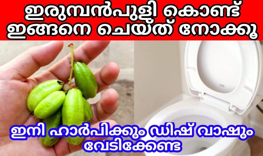 വീട്ടിൽ ഇരുമ്പൻപുളി ഉണ്ടെങ്കിൽ ക്ലീനിങ് ലിക്വിഡുകൾ ഇനി വേറെ വേണ്ട👌