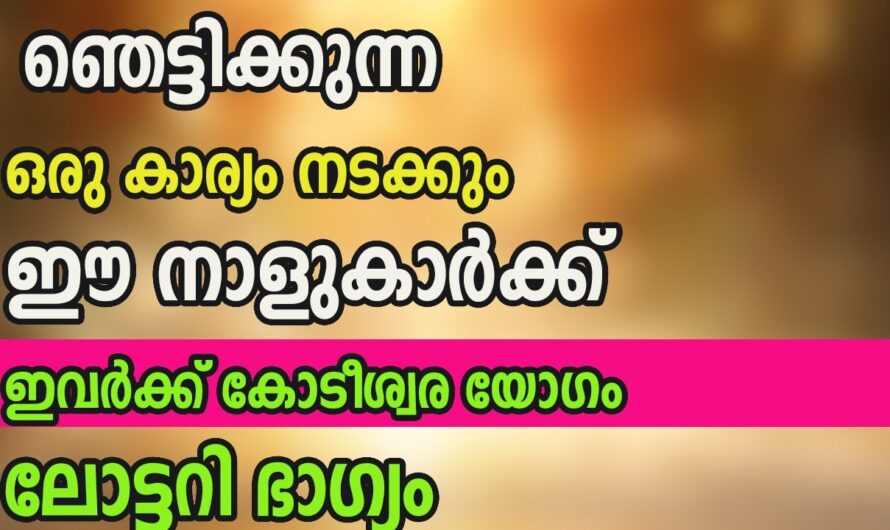 ഈ നാളുകാർ വീട്ടിൽ ഉണ്ടെങ്കിൽ ആ വീട് രക്ഷപ്പെടും…ഇവർക്ക് മിന്നുന്ന വിജയം..!