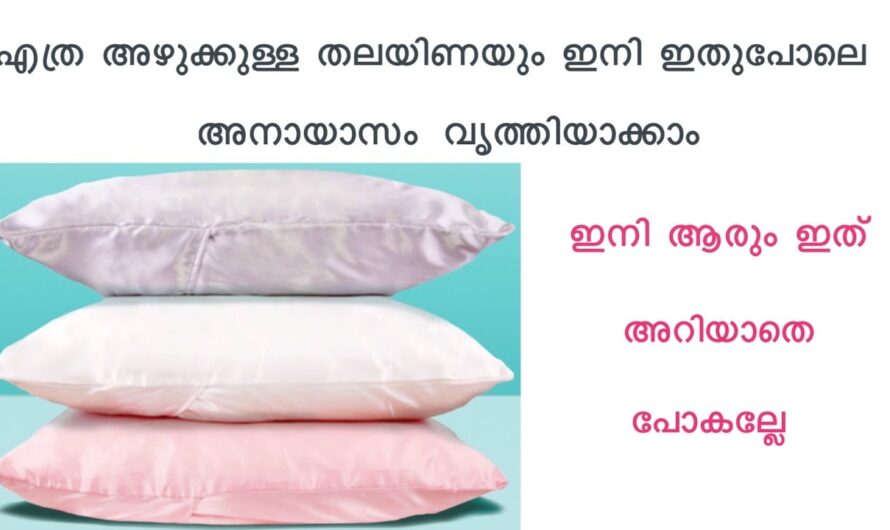 എത്ര പഴയ അഴുക്കായ തലയിണയും പുത്തൻപോലെ ആക്കാൻ വെള്ളത്തിൽ അല്പം ഇത് ചേർത്താൽ മതി….