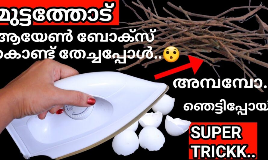 ആരും പറഞ്ഞു തരാത്ത ഒരു അടിപൊളി ക്രാഫ്റ്റ് ഐറ്റം👌, വീട്ടിലെ ഈ സാധനങ്ങൾ മതി….