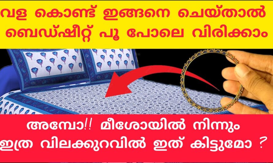 എക്സ്പിരി ഡേറ്റ് കഴിഞ്ഞ ഗുളികകൾ ഇനി വെറുതെ കളയേണ്ട, ഇങ്ങനെ ചെയ്താൽ ഇരട്ടിഫലം👌