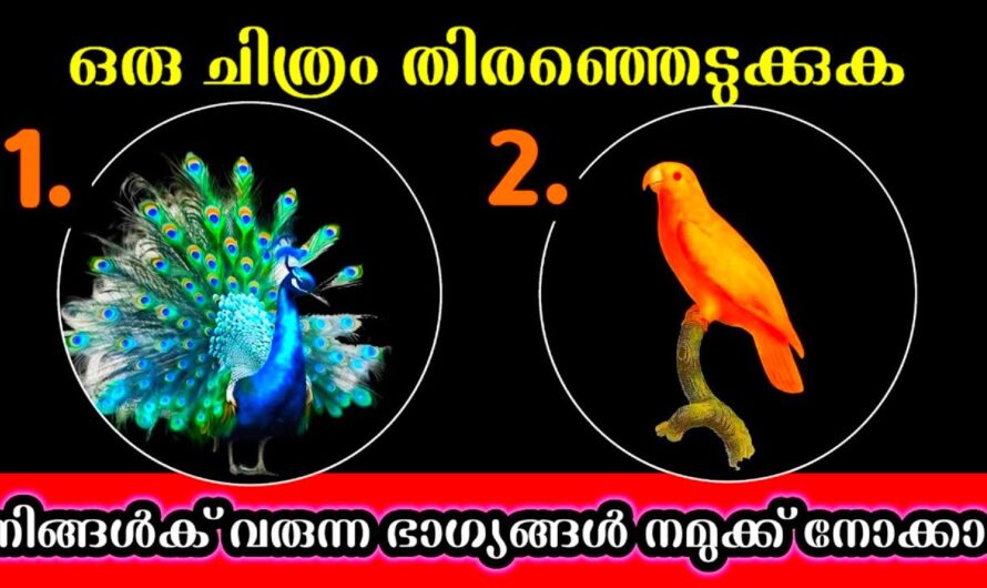 നിങ്ങളുടെ ആഗ്രഹം നടക്കുമോ ഇല്ലയോ എന്ന് ഇപ്പോൾ തന്നെ അറിയാം, ഒരെണ്ണം തിരഞ്ഞെടുക്കു…