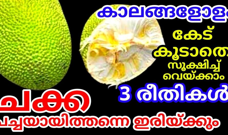 ഒരു വർഷത്തോളം ചക്ക കേടുകൂടാതെ സൂക്ഷിക്കാം, ഇതൊന്നു ട്രൈ ചെയ്യൂ…