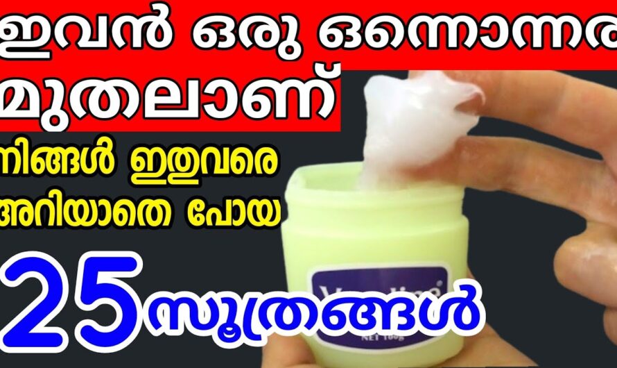 ഒരു കുപ്പി വാസിലിൻ ഉണ്ടെങ്കിൽ പലതുണ്ട് ഗുണങ്ങൾ, ആരും ഞെട്ടിപ്പോകും😱