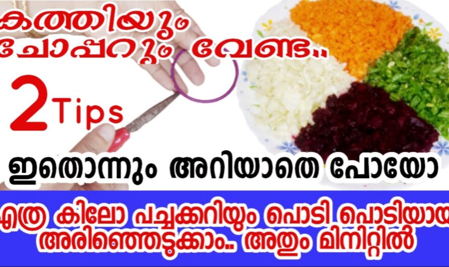 ഇനി പച്ചക്കറികൾ പൊടി പൊടിയായി അരിഞ്ഞെടുക്കുവാൻ കത്തി വേണ്ട! ഇത് കണ്ടാൽ നിങ്ങൾ ഞെട്ടിപ്പോകും😱