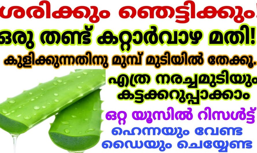 നരച്ച മുടി നിമിഷങ്ങൾക്കുള്ളിൽ കറുപ്പിക്കാം, ഹെയർ ഡൈ വീട്ടിൽ തന്നെ തയ്യാറാക്കൂ…👌