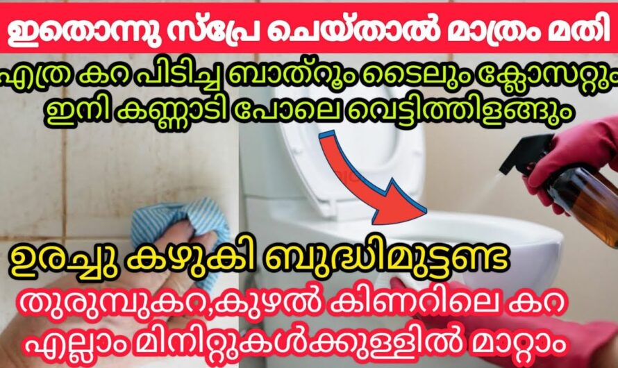 മഞ്ഞക്കറ പിടിച്ച ടൈലും ക്ലോസറ്റും പുതുപുത്തൻ ആക്കുവാൻ വീട്ടിലെ ഈ സാധനം മതി👌