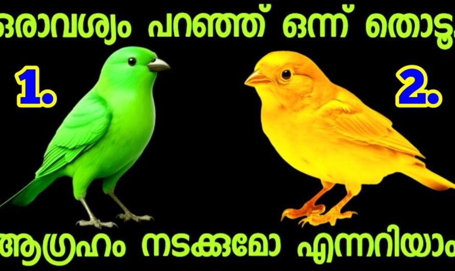 ഒരു ആവശ്യം വിചാരിച്ച് ഒന്ന് തൊടു..! വിചാരിച്ച കാര്യം നടക്കുമോ ഇല്ലയോ എന്ന് അറിയാം…